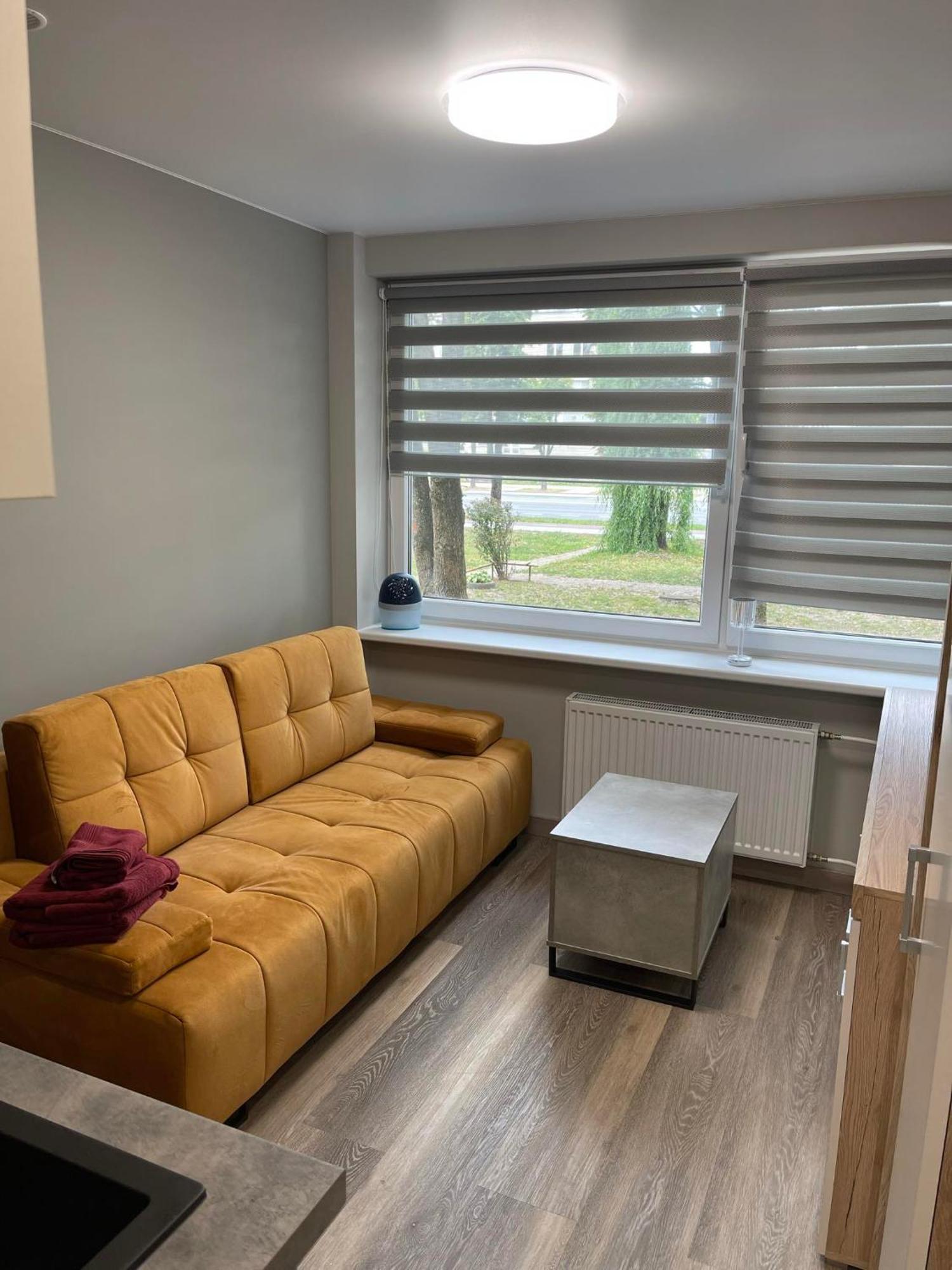 24H Self Check-In Cozy Visit Studio3 On The First Floor Kaunas Ngoại thất bức ảnh